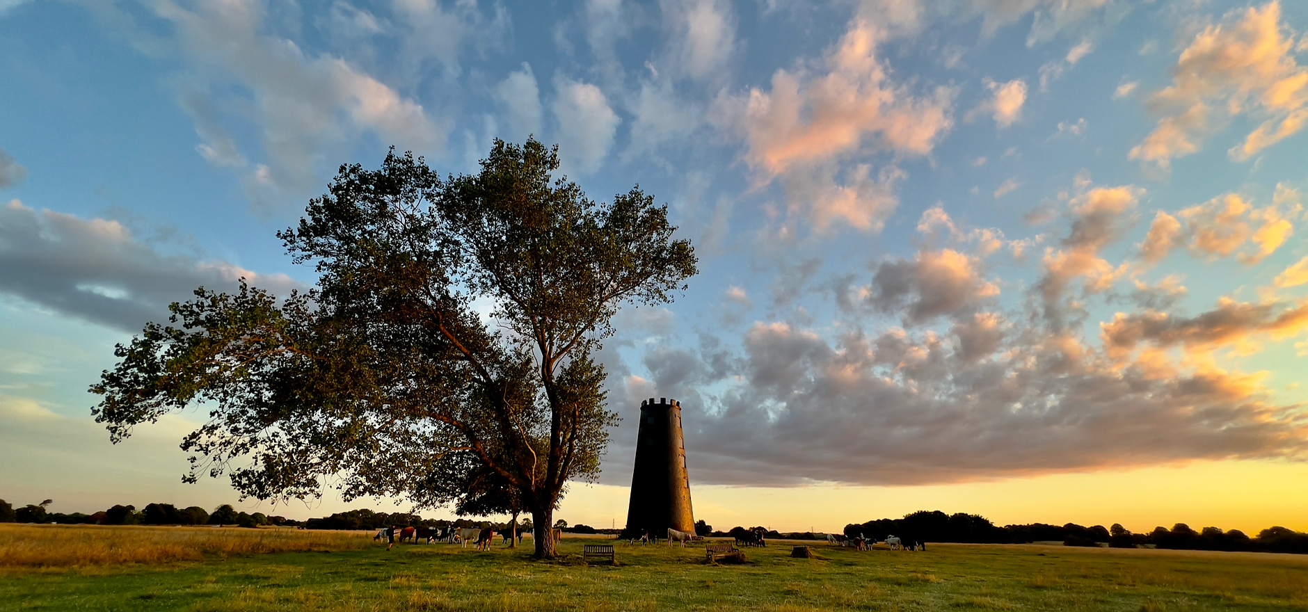 Beverley Westwood - The Black Mill